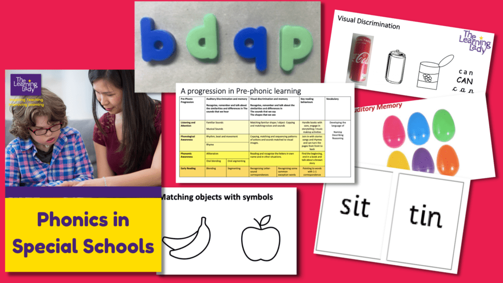 Phonics for pupils with special educational needs